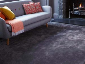 Carpet in living room