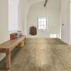 Blacktex - Texas Oak 609M - Image 2