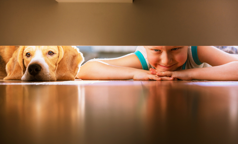 best flooring options for pets